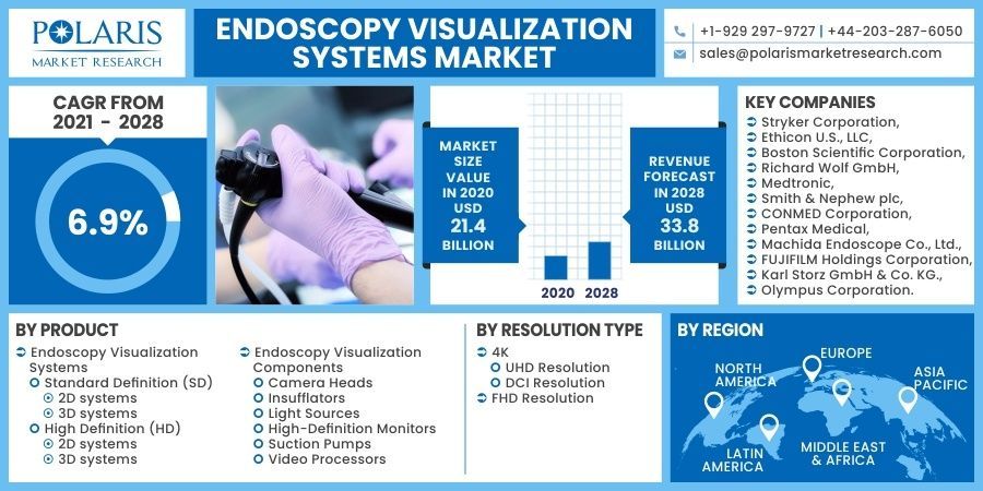 Endoscopy Visualization Systems Market   by Material , Type  