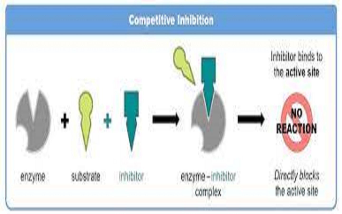 Enzyme Inhibitor Market 2022 Size & Forecast Report to 2028