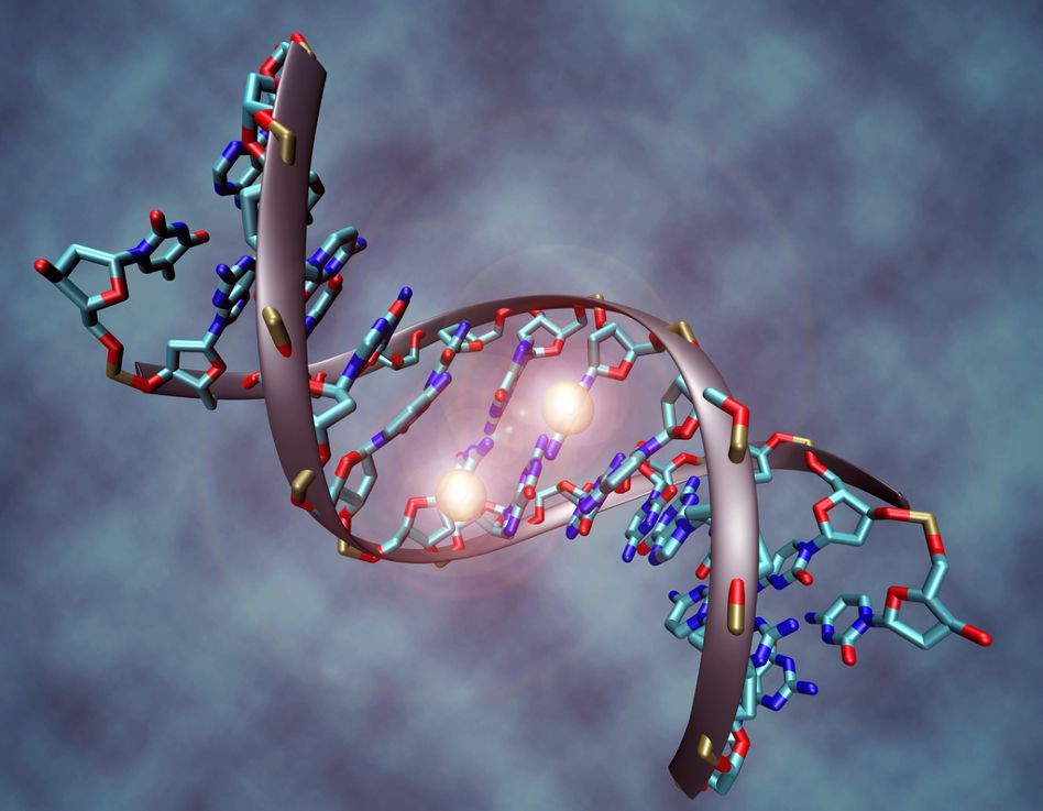 Epigenetics Market Size, Share,  Global Forecast to 2028
