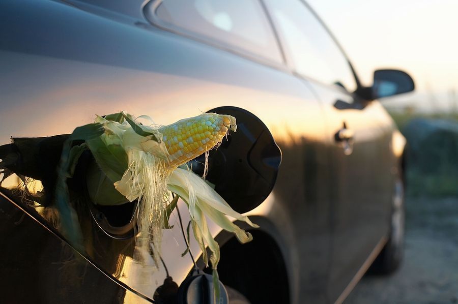 Ethanol Car Market Share, Growth Opportunity & Forecast to 2028