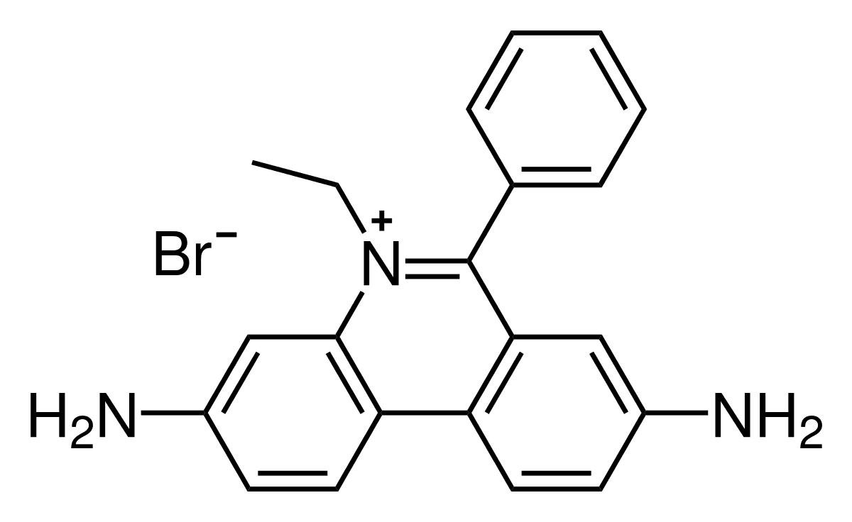 Ethidium Bromide Market Overview and Analysis Report 2021-2028