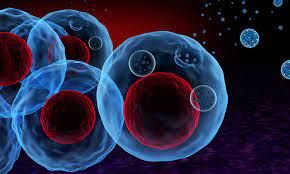Exosome Therapeutic Market Size, Industry Share Forecast 2028