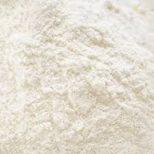 Fat Filled Milk Powder Market: Industry Outlook Research Report