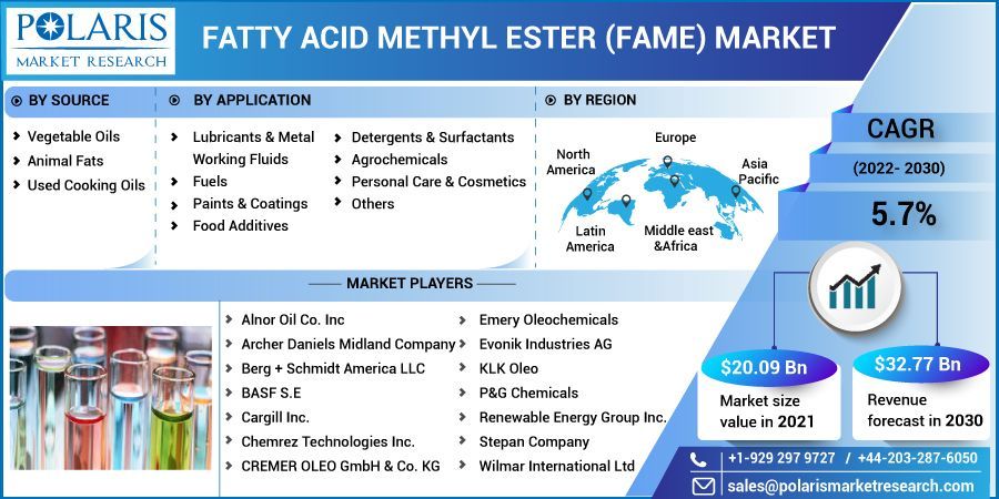 Fatty Acid Methyl Ester (Fame) Market Growth, Development