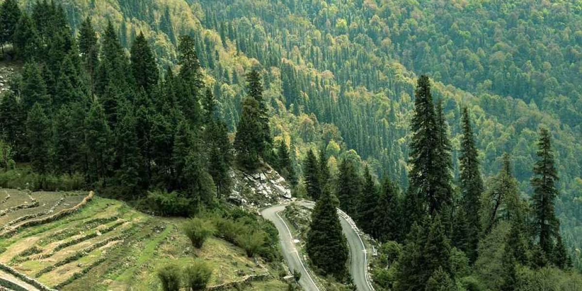 Affordable Deals for Haridwar, Rishikesh and Corbett Tour
