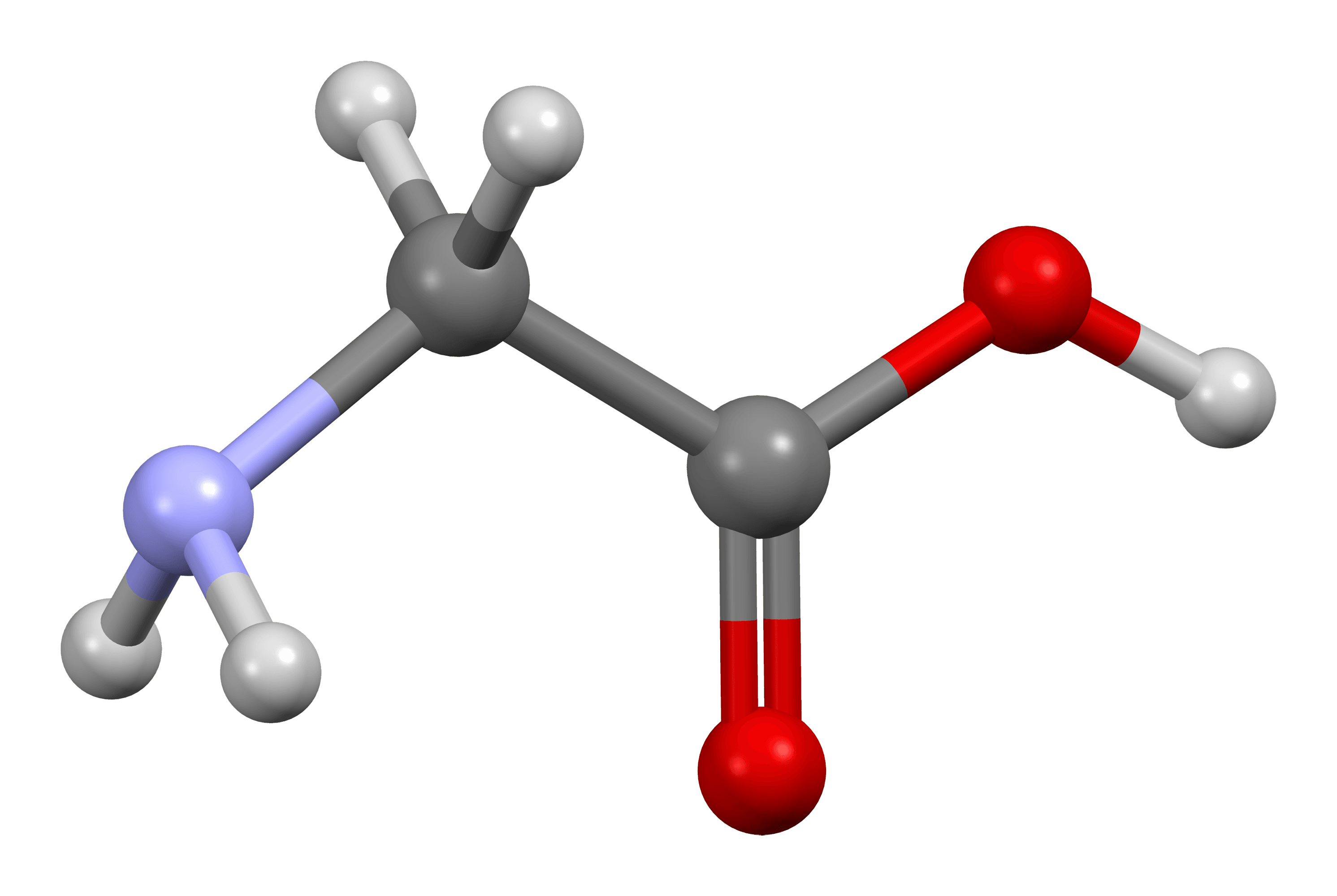 Feed Grade Glycine Market Players Analysis Report Till 2028