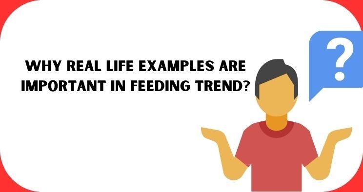 Why Real Life Examples Are Important in Feeding Trend?