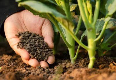 Global Fertilizer Mixtures Market Size, Share, and Forecast 2028