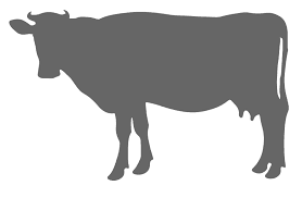 Fetal Bovine Serum Market 2022 Growth, Share & Forecast Report 
