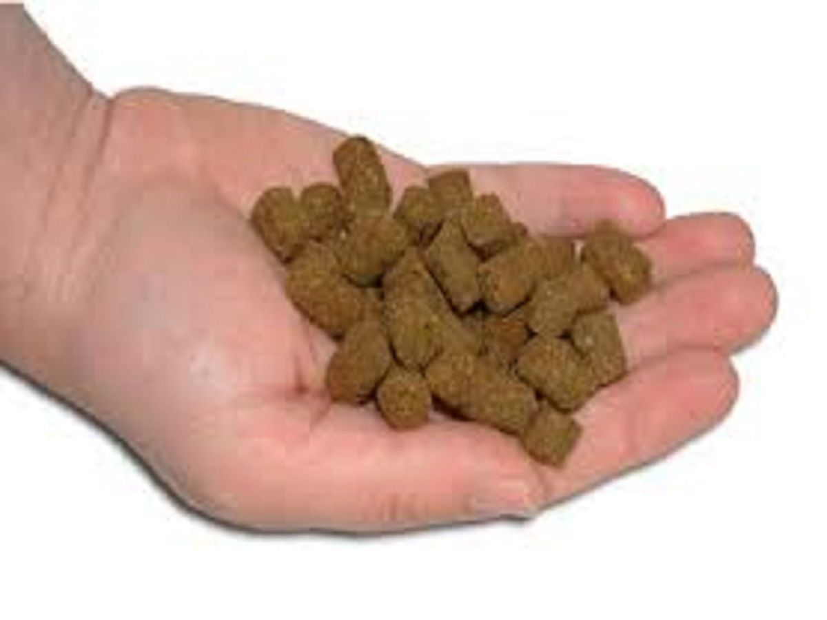 Fish Protein Concentrate Market Size, Key Players Analysis 