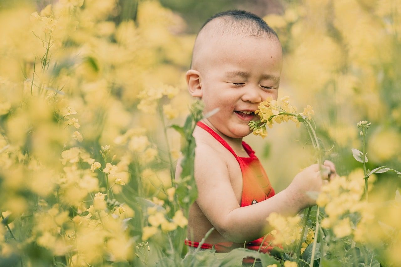 Birth Month Flowers: What Is My Birth Flower?