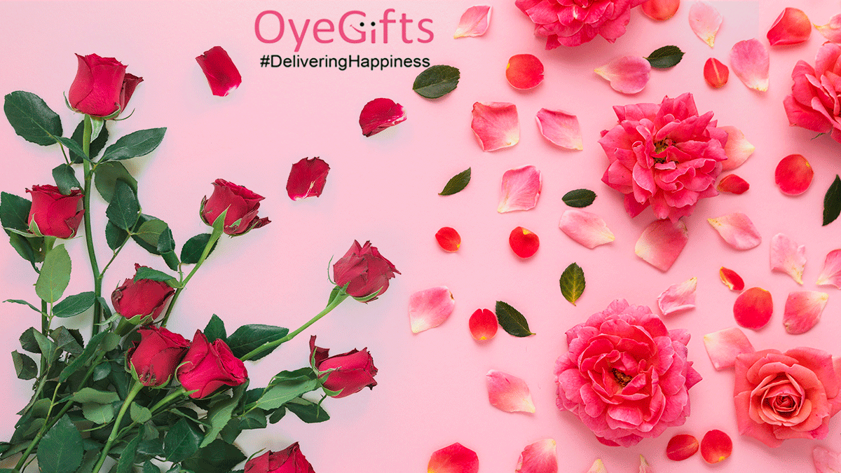 Beautiful Flowers to Spread Happiness in the Life of Loved Ones!