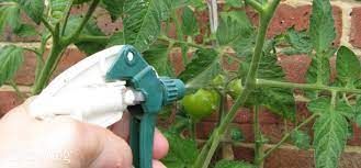 Foliar Spray Market In-Depth Analysis Report & Forecast to 2028
