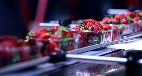 Food Grade Phycocyanin Market Industry Demand, Growth, Analysis
