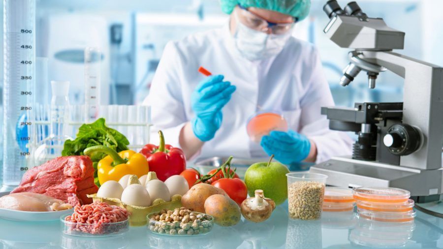 Food Safety Testing Market Growth | Research Report, 2028