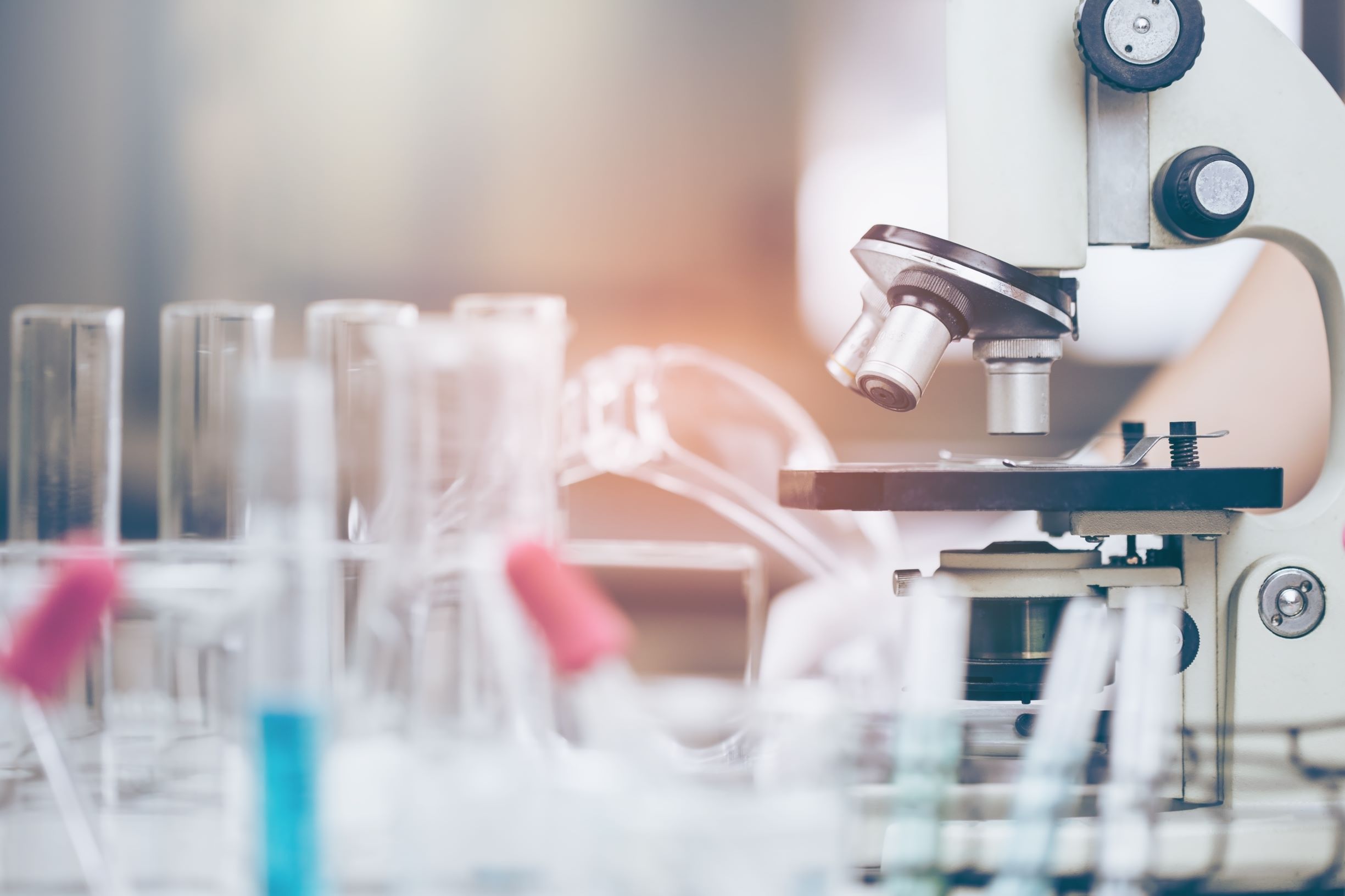Food Safety Testing Equipment and Consumables Market Report