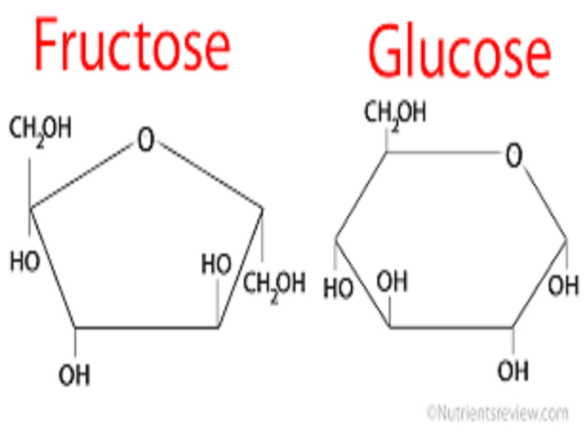 Report on Fructose Market Research 2028