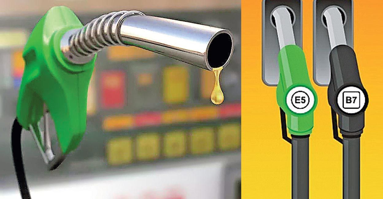 Fuel Ethanol Market Size, Dynamics & Forecast Report to 2028
