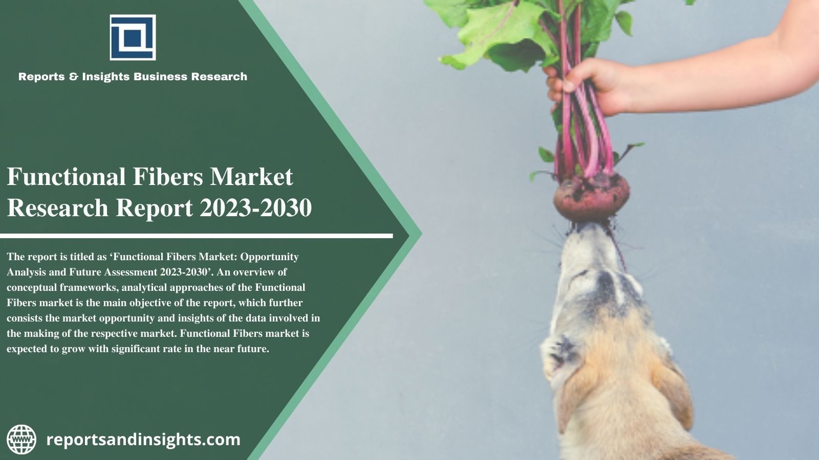 Functional Fibers Market | Share, Business, Trend Analysis 2030