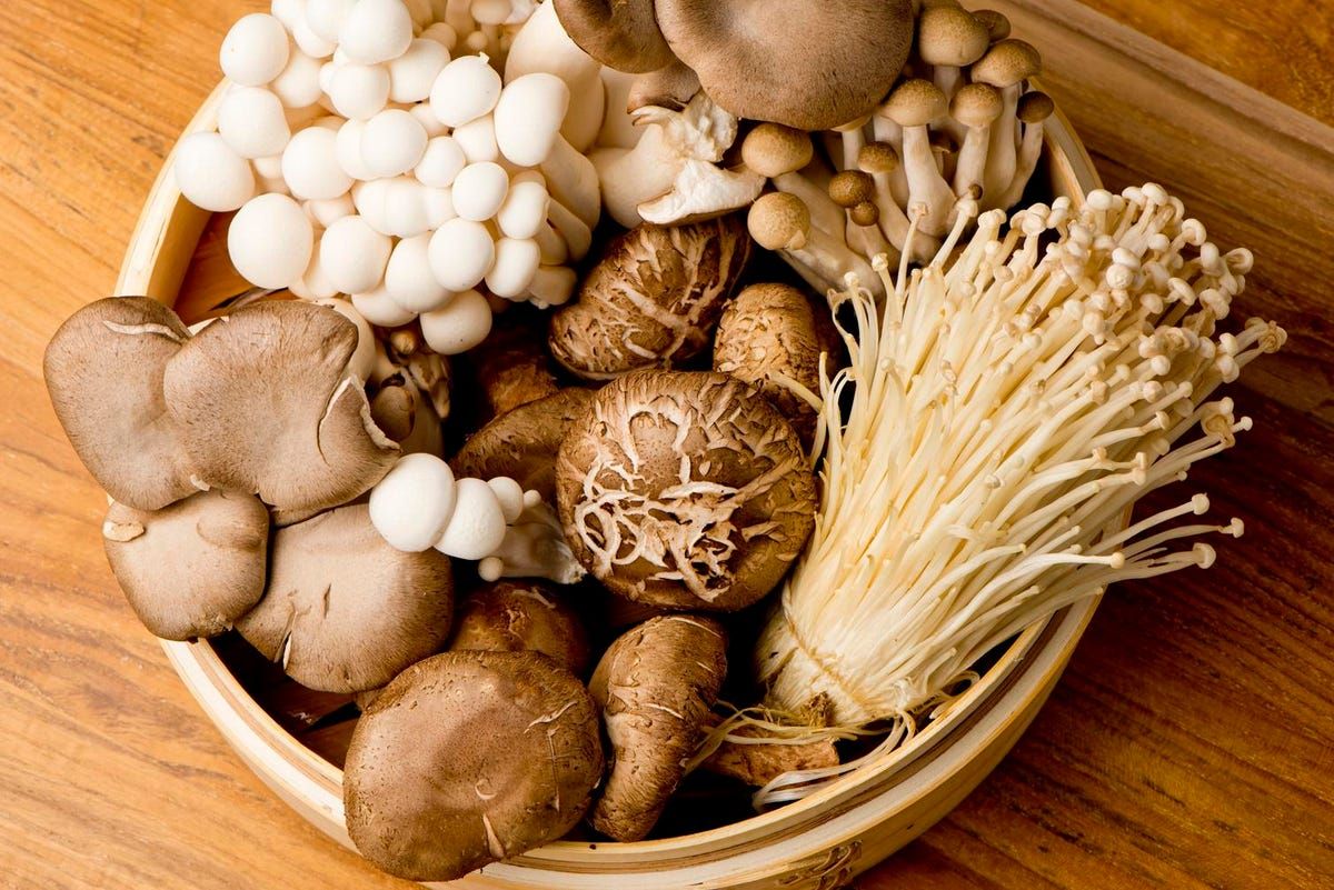 Functional Mushroom Market Status, Growth | Industry Analysis