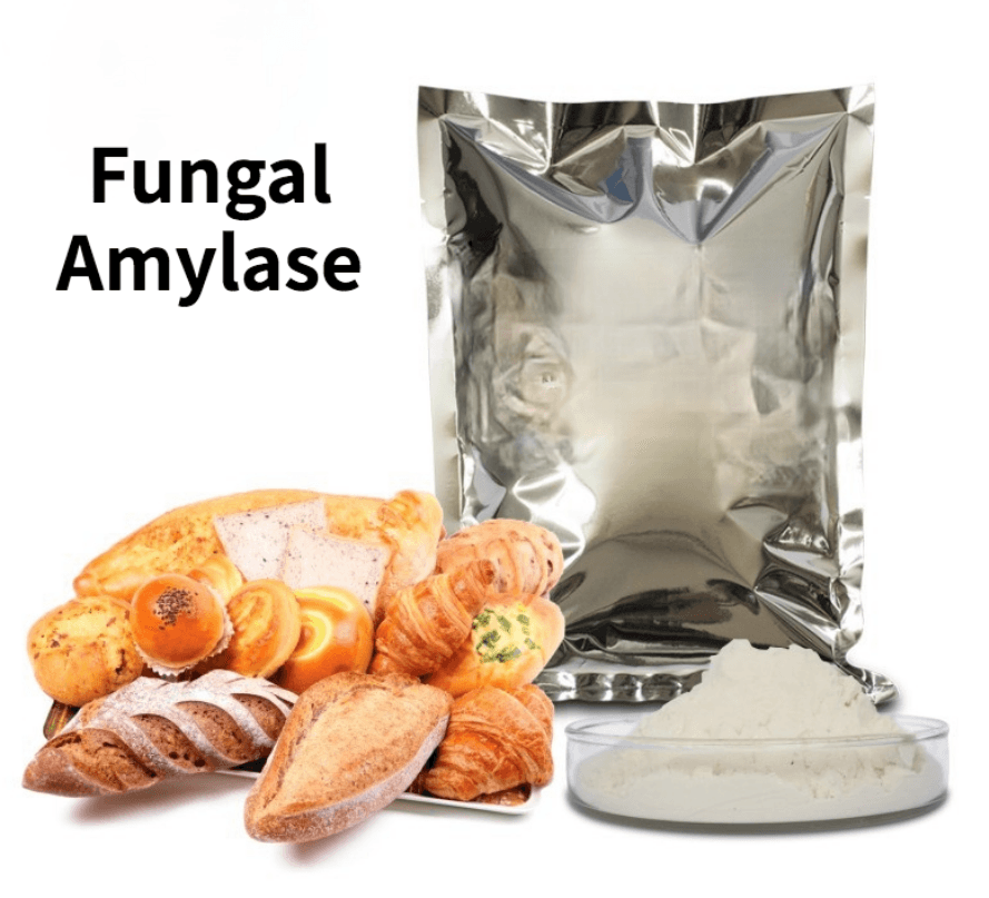 Amylase Market Size, Status, Growth | Industry Analysis Report 