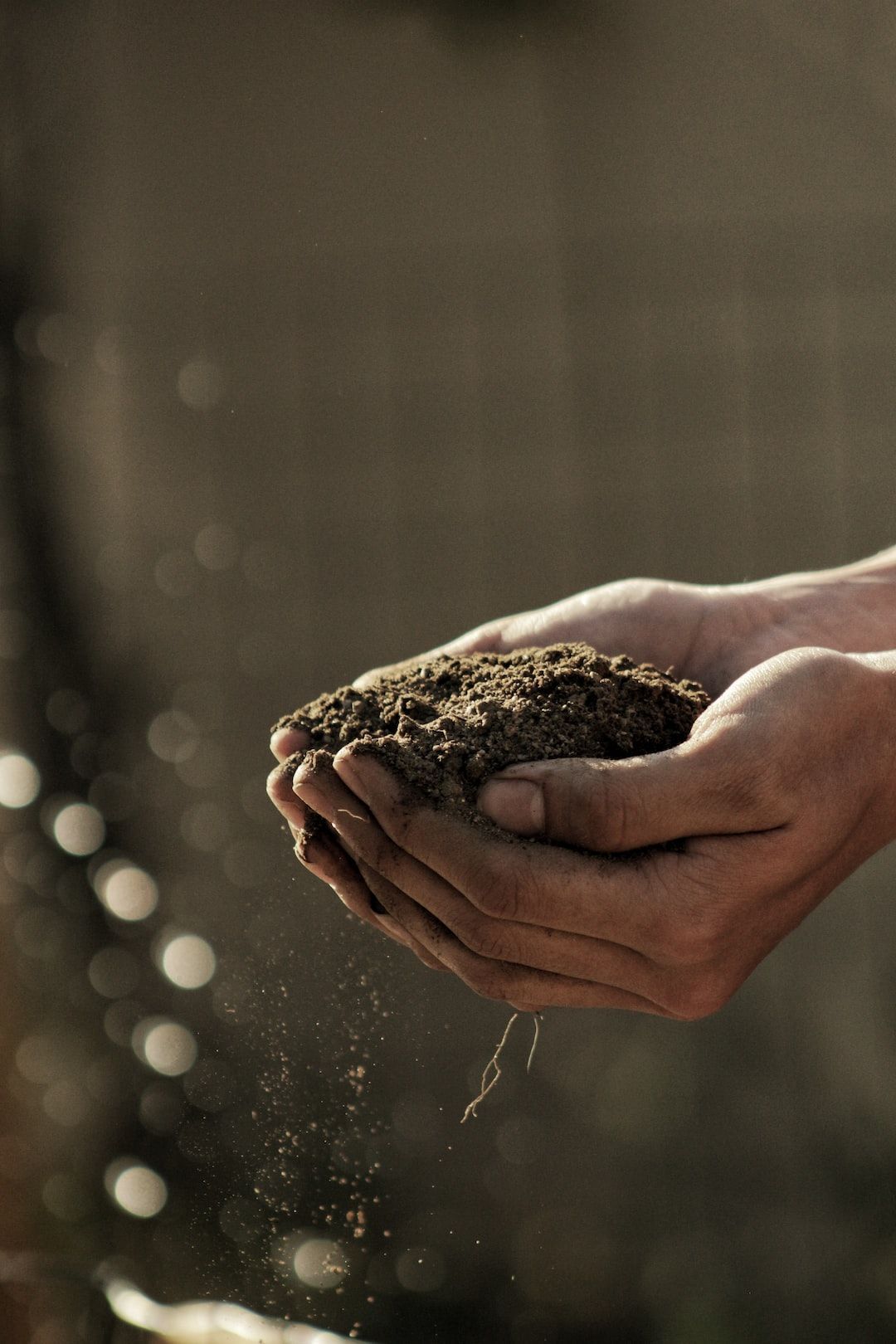 Digital Soil Mapping Market : Predicted Rapid Growth With Trends
