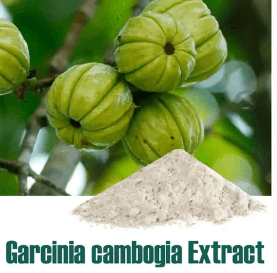Garcinia Cambogia Extract Market Size, In-Depth Analysis Report 