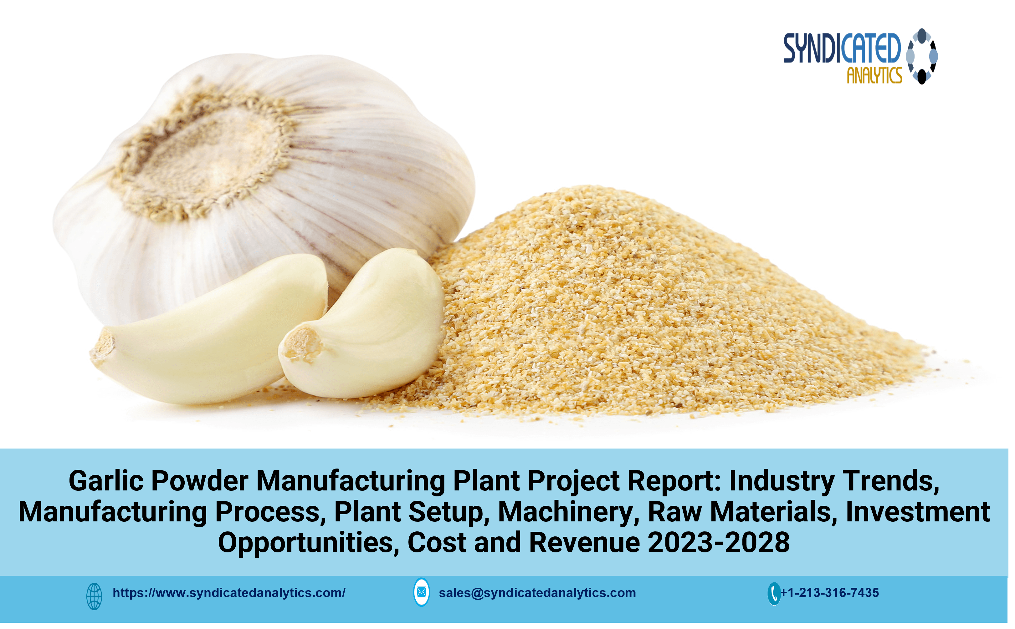 Detailed Project Report on Garlic Powder Manufacturing 2023-2028