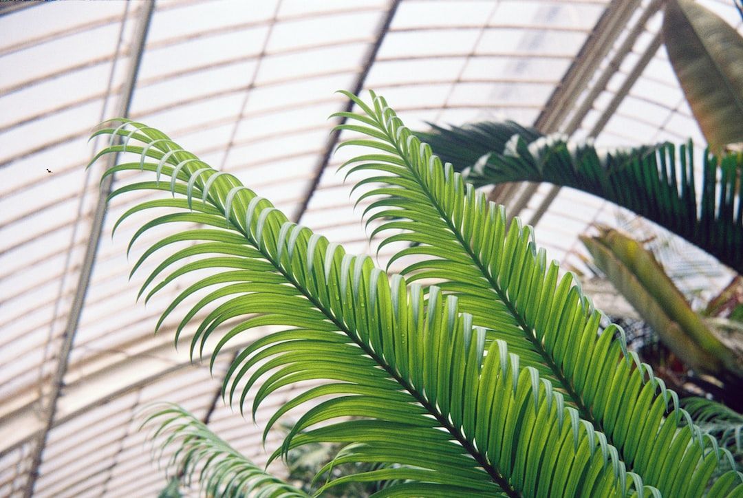 Global Polyester Film Market Positive Demand and 2022-2028