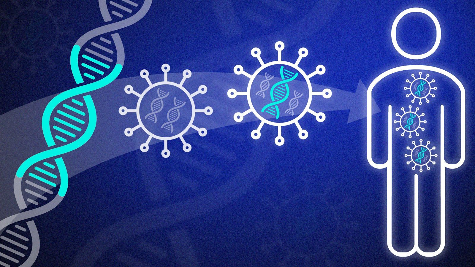 Global Hematological Malignancies Market Recent Development 2022
