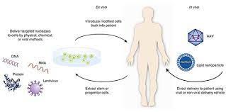 Gene Therapy Market Forecast 2022-2028