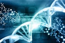 Genetic Toxicology Testing Market 2022 | Industry Demand Analysis