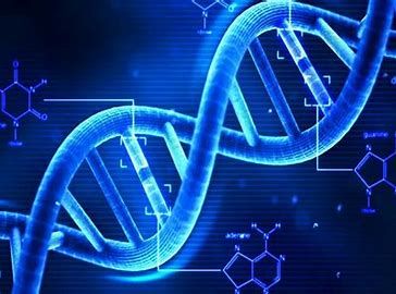 Genomics Market 2022 Major Key Players Till 2028