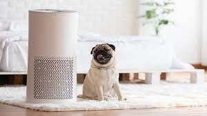 Germany Air Purifier Market Size, Trends, Growth 2028