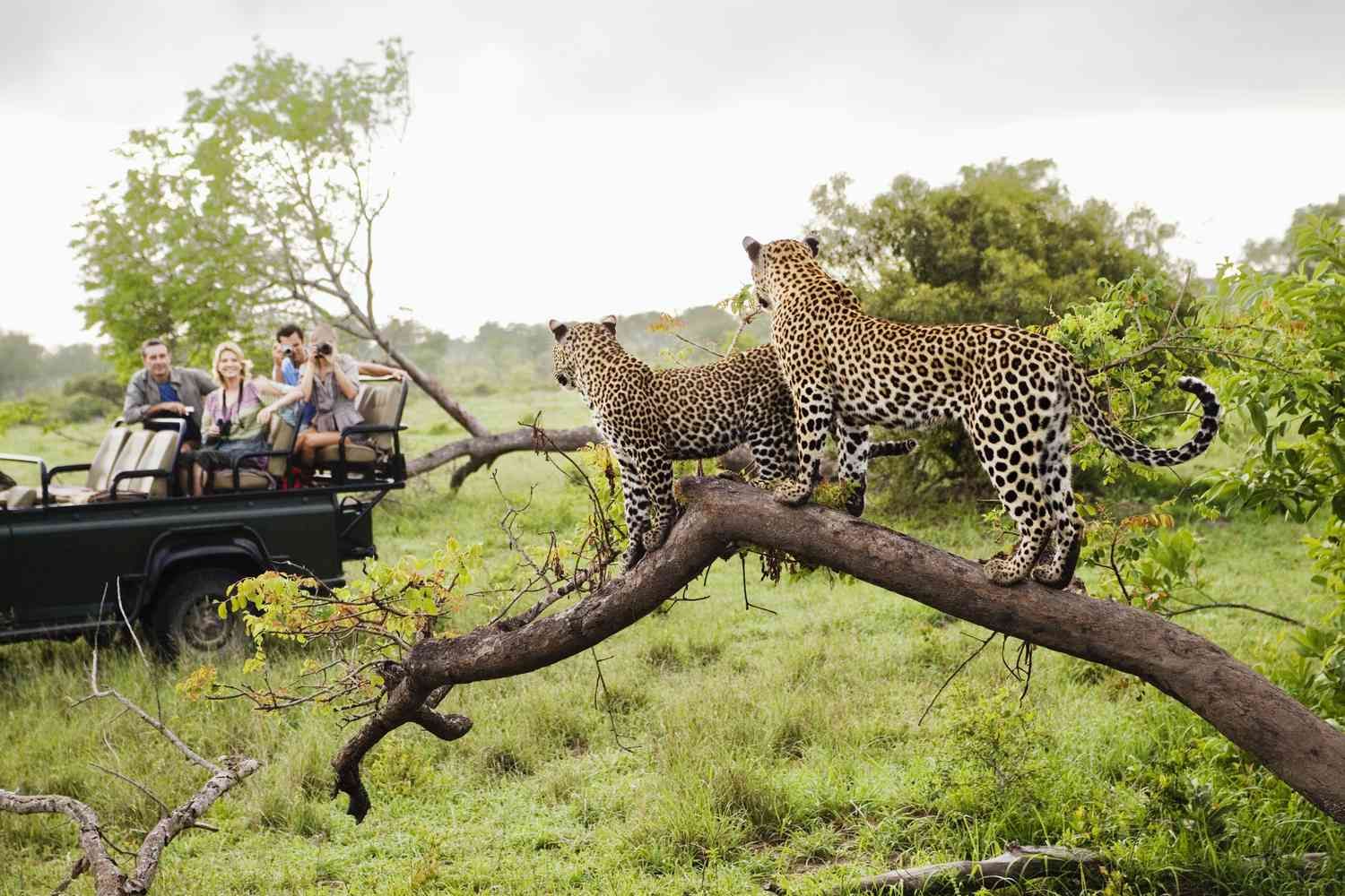 Name the Largest National Park in South Africa