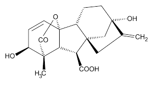 Gibberellin A3 Market Size & Share Report, 2022–2030