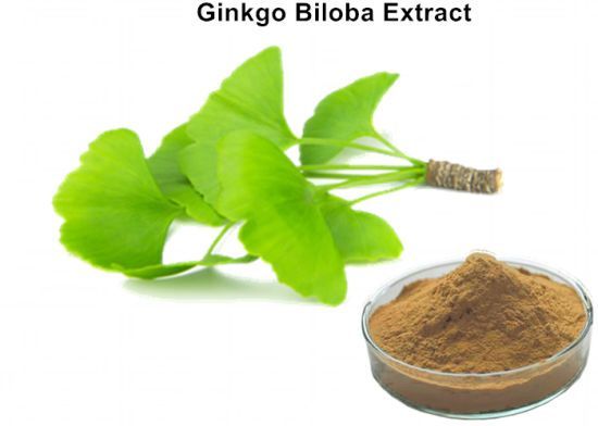 Global Ginkgo Biloba Extract Market 2022 Top Key Players Analysis