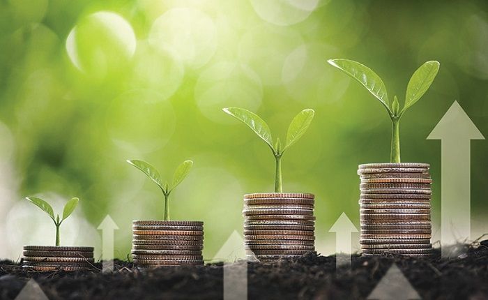 Bio Based Coatings Market by Size, Share, Trends, Growth, Price