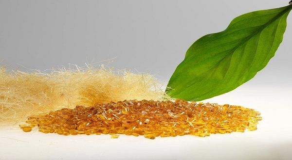 Castor Oil-Based Biopolymer Market to Be Dominated by Auto Sector