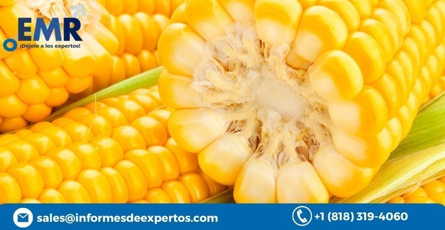 Global Corn Market Growth, Share, Trends 2023-2028