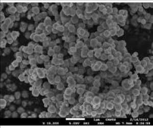 Global Titanium Dioxide Nanoparticle Market Analysis by Size 2030