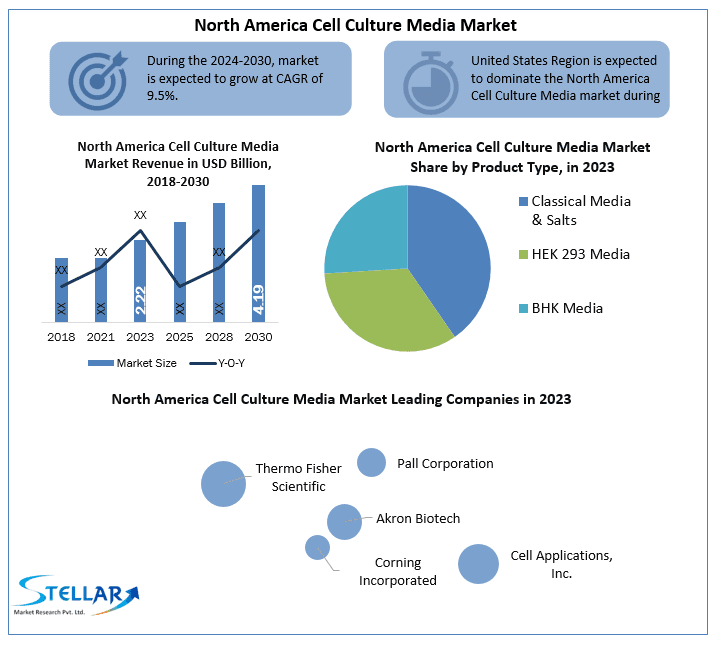 North America Cell Culture Media Market: Industry Analysis and Forecast (2024-2030)