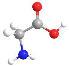 Glycine Market Size, Status, Growth | Industry Analysis Report