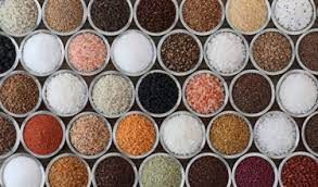 Gourmet Salts Market  Industry Reports, Forecast to 2028
