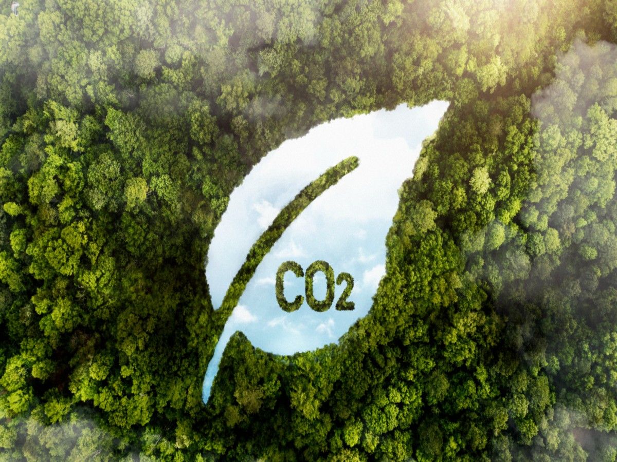 Green Ammonia Market Forecast 2026–2036: Market Expansion Driven by Decarbonization Goals and Renewable Energy