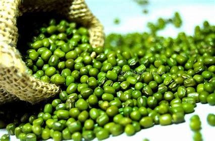 Iqf Fruits and Vegetables Market Overview Survey 2022 to 2028