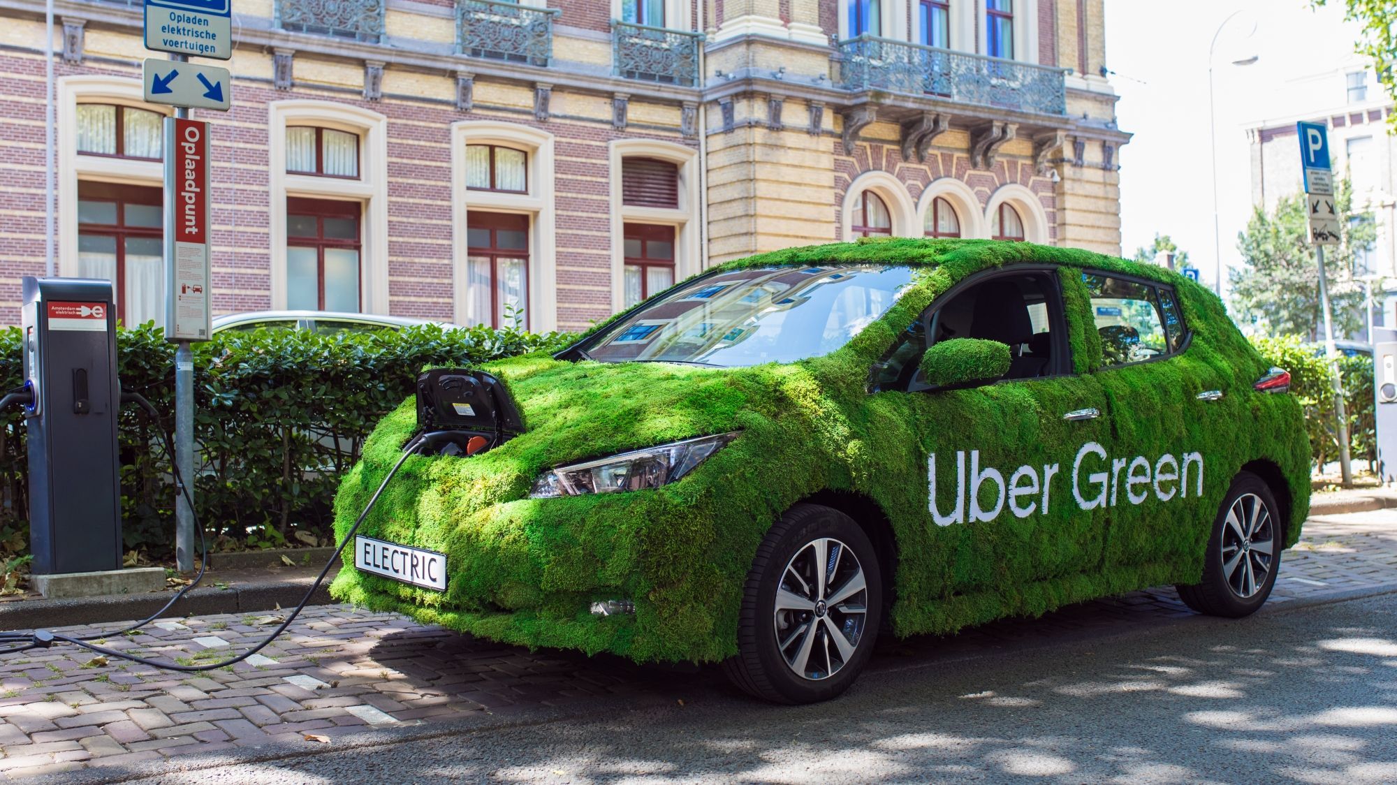 Green Vehicle Market: Trends, Competition, Size and Forecasts