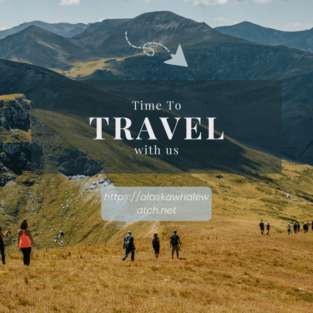 Anchorage vs Juneau: Comparing Whale Watching Tours