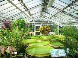 Greenhouse Market Overview and Future Scope Upto 2028