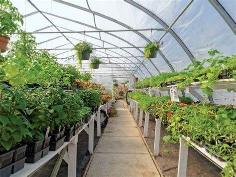 Greenhouse Horticulture Market | Global Industry Analysis